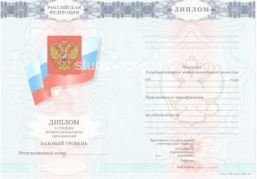 Диплом техникума 2007-2010 в Одинцово